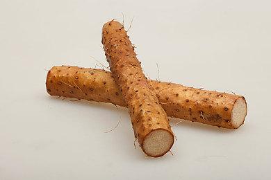 强大的女主！希望《GTA6》能有这11件事